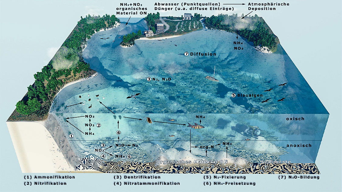 3d-Rendering und Grafik eines Flussbetts für das Wissenschaftsprojekt Nitrolimit